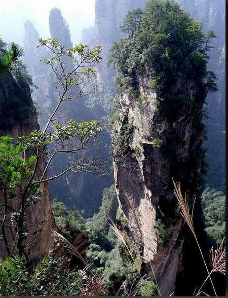 長沙出發(fā)到張家界溶洞奇觀黃龍洞、國家森林公園、袁家界、峰林之王天子山三日游（早班）