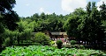 長(zhǎng)沙出發(fā)到花明樓、韶山、張家界國(guó)家森林公園、天門仙山國(guó)家森林公園四日游