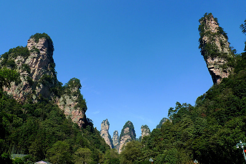 張家界國家森林公園、黃龍洞、天門山、鳳凰古城純玩五日游